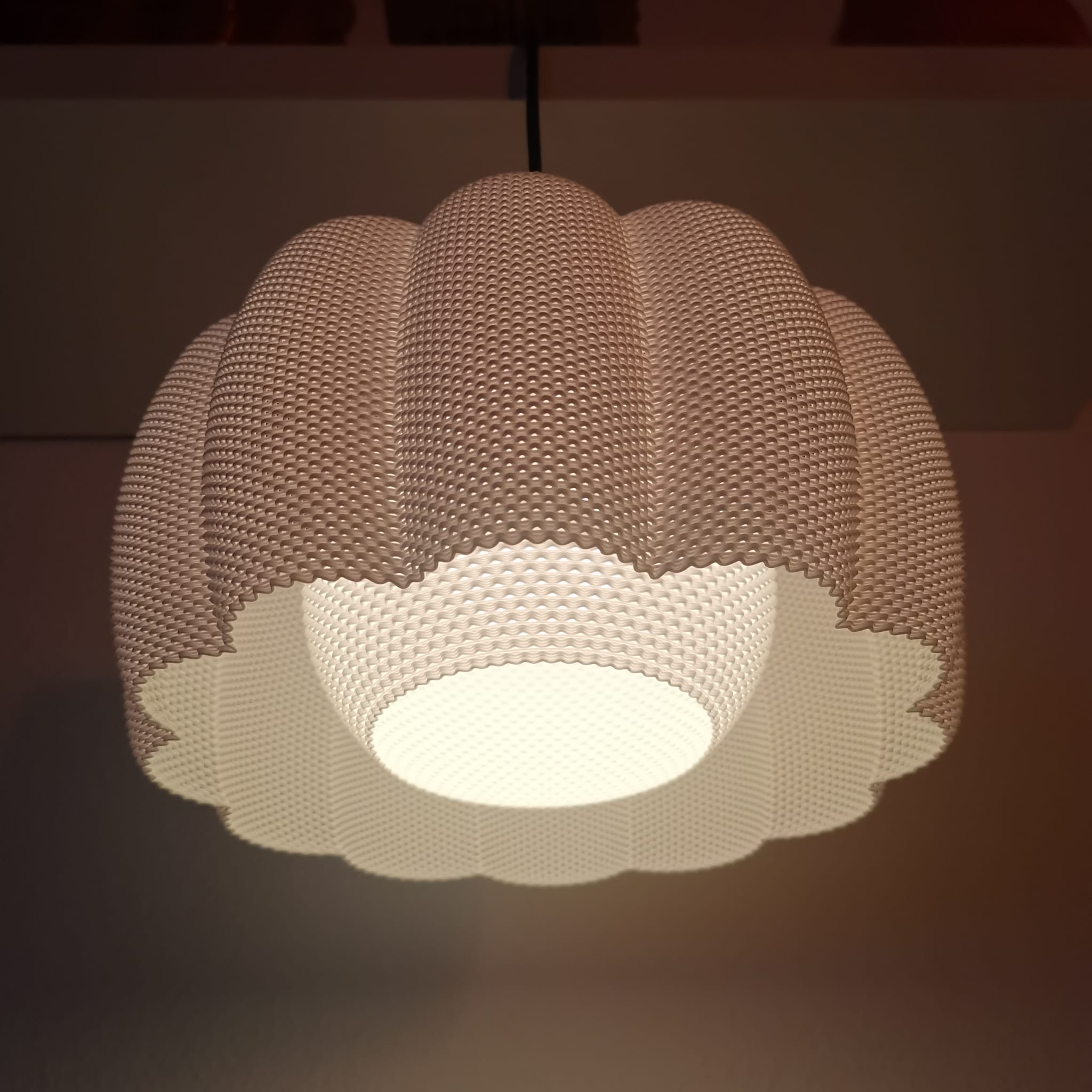 Lotus Glow-4